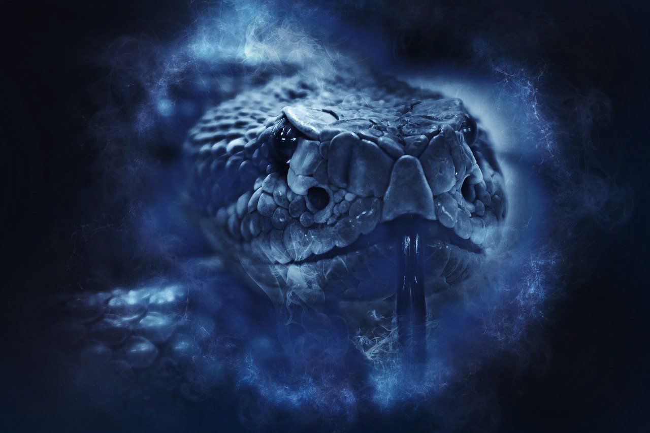 rattlesnake-g6b615a1fb_1280