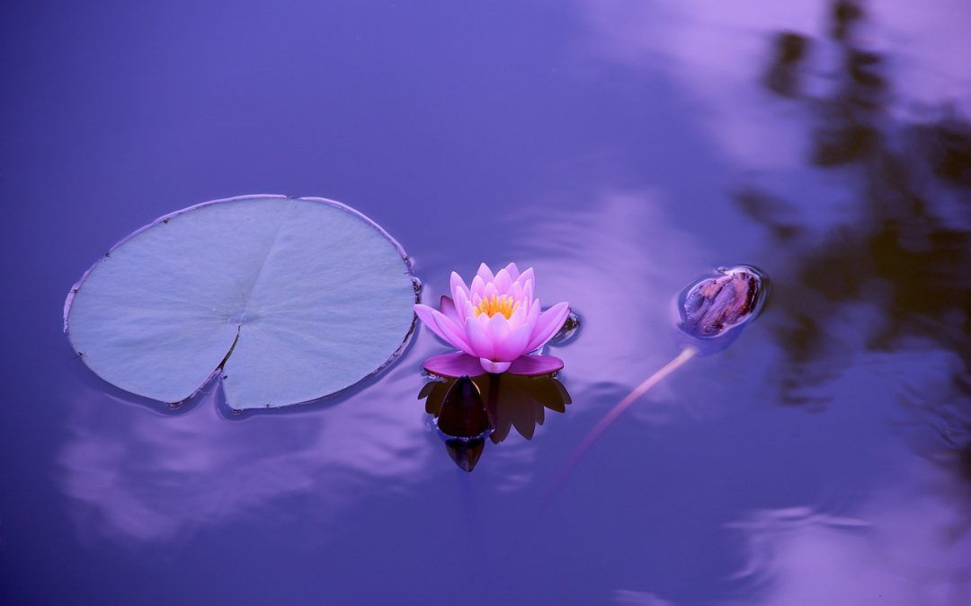 Ejercicio de meditación guiada