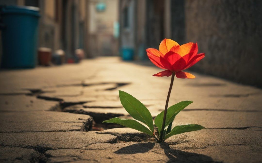 Resiliencia